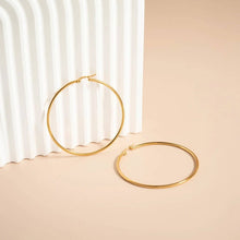 18K Gold PVD Stainless Steel Round Tube Hoop Earrings - Stainless / 25mm