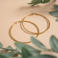 18K Gold PVD Stainless Steel Round Tube Hoop Earrings - Stainless / 25mm