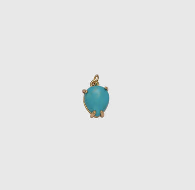 Turquoise Stone Charm Bar