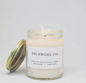 Sycamore Fig Modern Soy Wax Candle