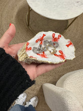 Made in Cape Cod Real Oyster Shell Dish - Lobster