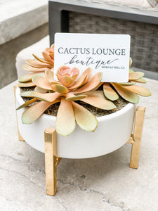 Cactus Lounge Boutique Physical Gift Card - $25 - Cactus Lounge Boutique